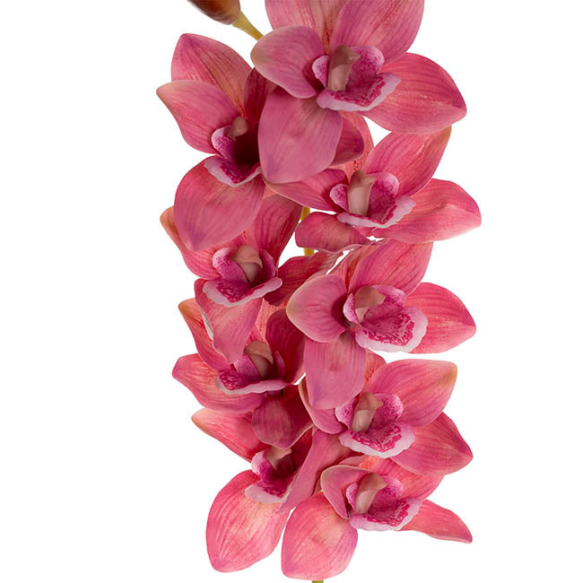 Real Touch 9 Head Cymbidium Orchid Rouge Pink (76cmH)