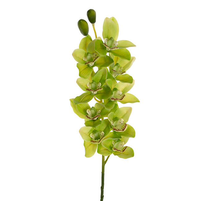 Real Touch 9 Head Cymbidium Orchid Soft Green (76cmH)