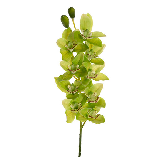 Real Touch 9 Head Cymbidium Orchid Soft Green (76cmH)