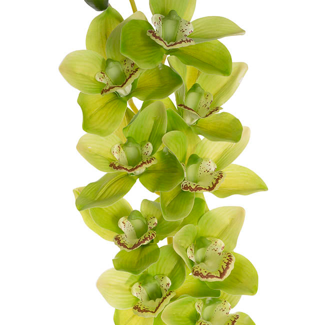 Real Touch 9 Head Cymbidium Orchid Soft Green (76cmH)