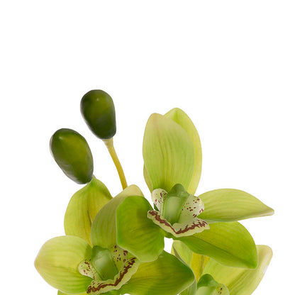 Real Touch 9 Head Cymbidium Orchid Soft Green (76cmH)