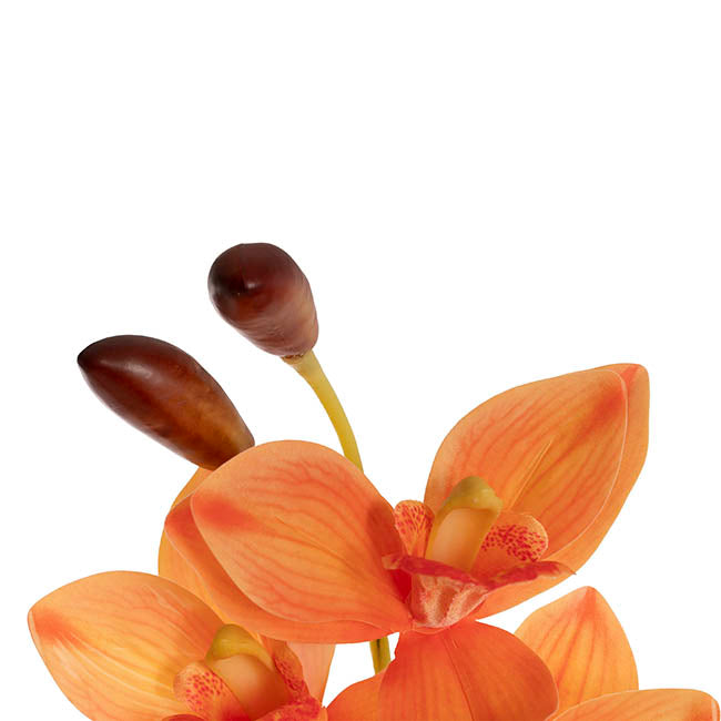 Real Touch 9 Head Cymbidium Orchid Apricot (76cmH)