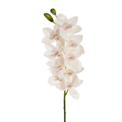 Real Touch 9 Head Cymbidium Orchid White (76cmH)