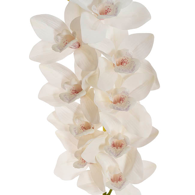 Real Touch 9 Head Cymbidium Orchid White (76cmH)