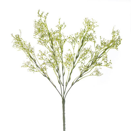 Gypsophila Baby's Breath Bunch White (39cmH)