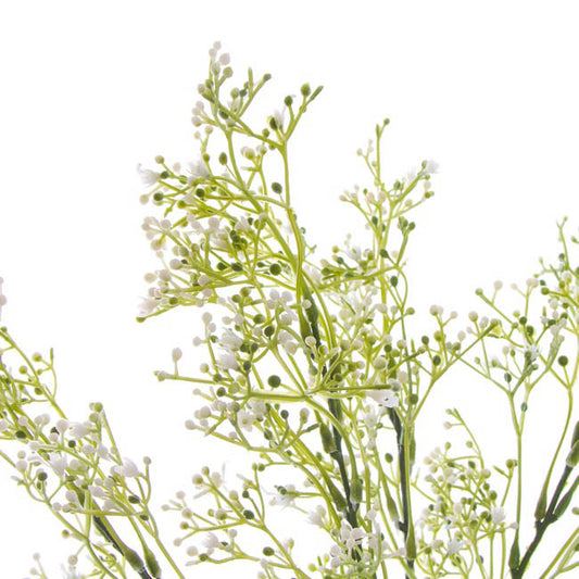 Gypsophila Baby's Breath Bunch White (39cmH)