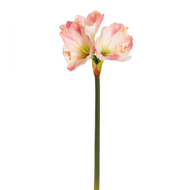 Real Touch 4 Head Clivia Stem Cream Pink (61cmH)