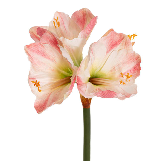 Real Touch 4 Head Clivia Stem Cream Pink (61cmH)