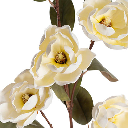 Magnolia Flower Spray 5 Heads White (11cmDx97cmH)