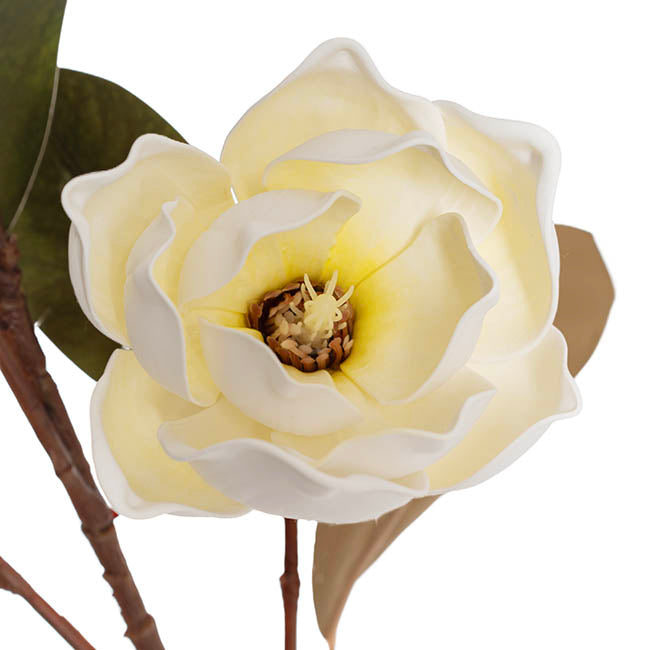 Magnolia Flower Spray 5 Heads White (11cmDx97cmH)