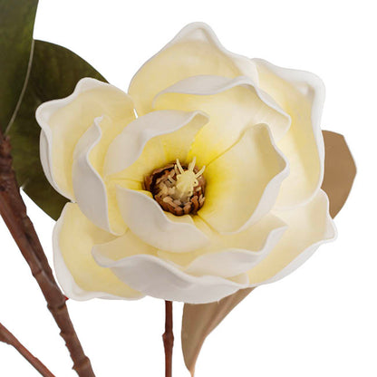 Magnolia Flower Spray 5 Heads White (11cmDx97cmH)