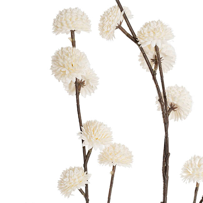 Chrysanthemum Pom Pom Spray White (4cmDx110cmH)