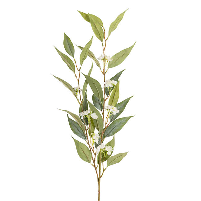 Eucalyptus Willow Bud Flower Spray Green (92cmH)
