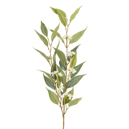 Eucalyptus Willow Bud Flower Spray Green (92cmH)