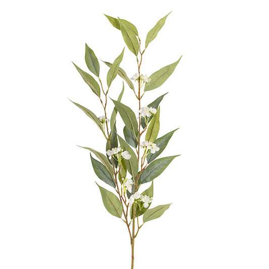 Eucalyptus Willow Bud Flower Spray Green (92cmH)