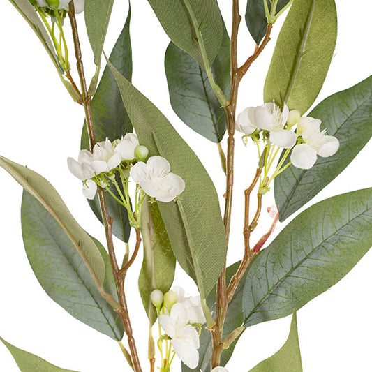 Eucalyptus Willow Bud Flower Spray Green (92cmH)