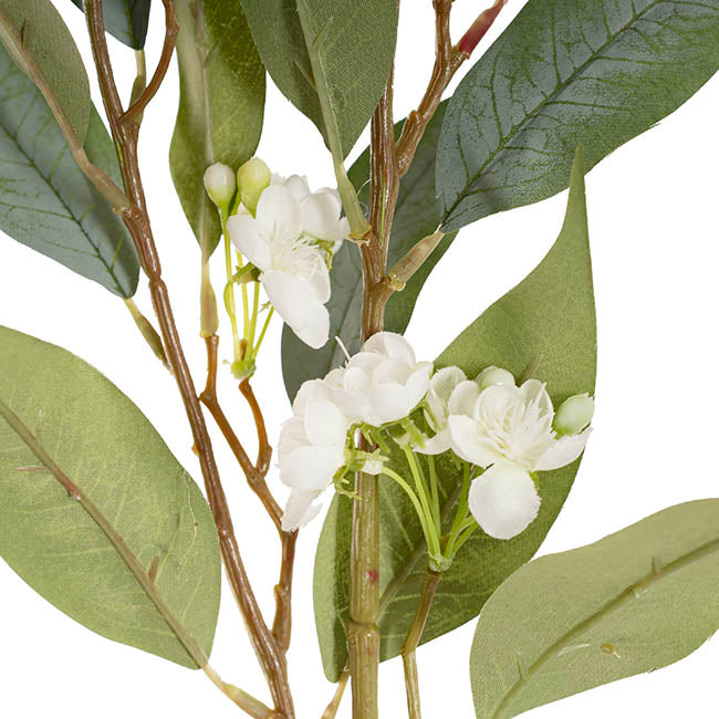 Eucalyptus Willow Bud Flower Spray Green (92cmH)