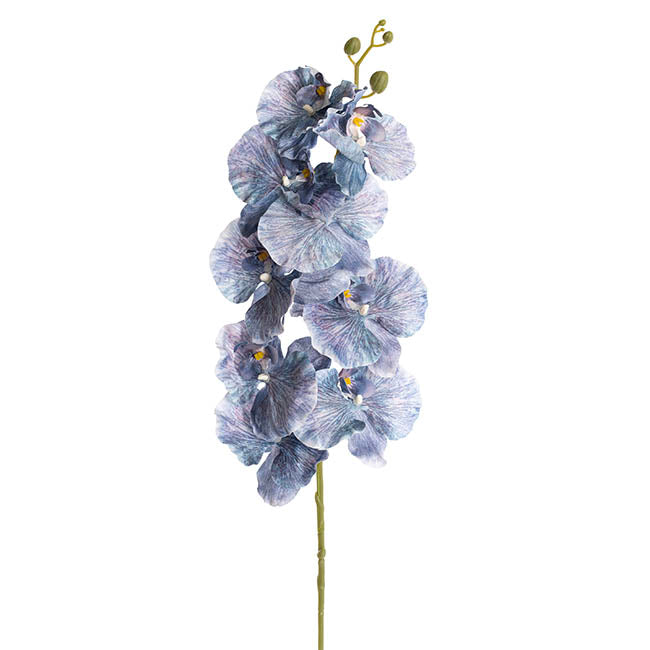 Orchid Spray x9 Flowers Ombre Blue (102cmH)
