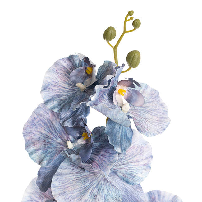 Orchid Spray x9 Flowers Ombre Blue (102cmH)
