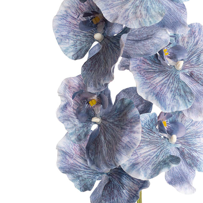 Orchid Spray x9 Flowers Ombre Blue (102cmH)
