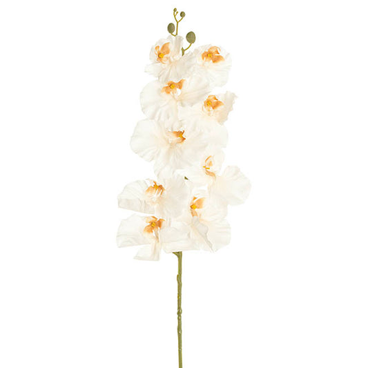 Orchid Spray x9 Flowers Champagne (102cmH)