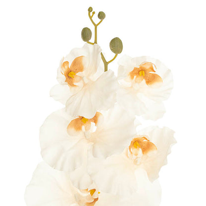 Orchid Spray x9 Flowers Champagne (102cmH)