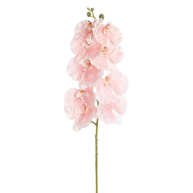 Orchid Spray x9 Flowers Soft Pink (102cmH)