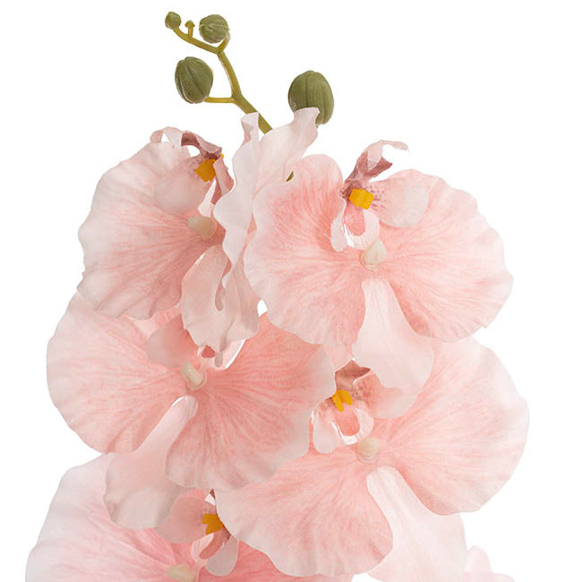 Orchid Spray x9 Flowers Soft Pink (102cmH)