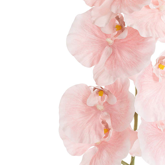 Orchid Spray x9 Flowers Soft Pink (102cmH)