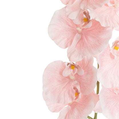 Orchid Spray x9 Flowers Soft Pink (102cmH)