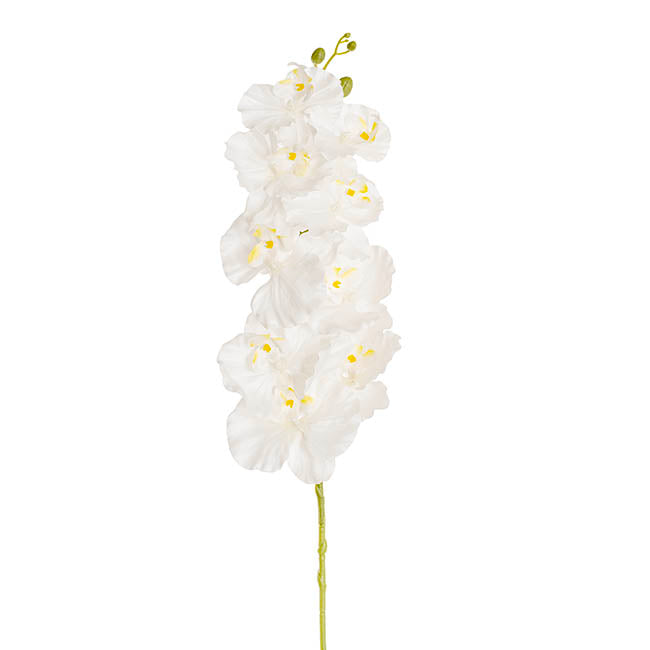 Orchid Spray x9 Flowers White (102cmH)