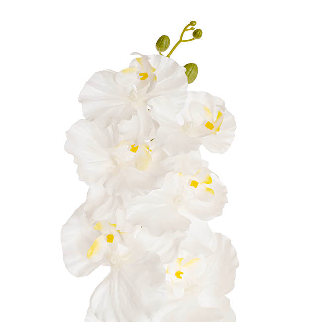 Orchid Spray x9 Flowers White (102cmH)