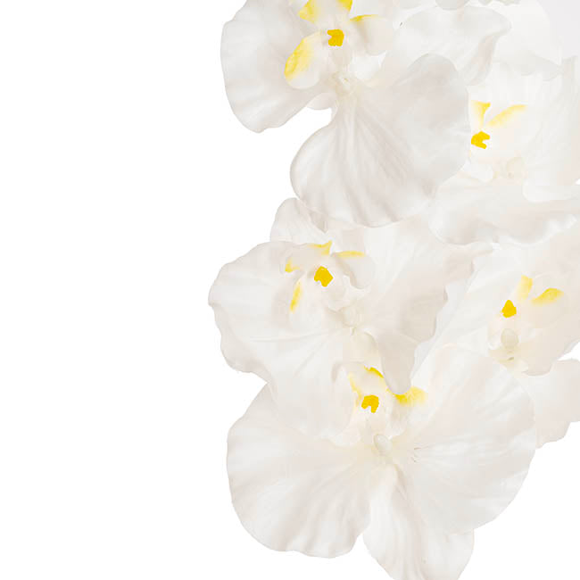 Orchid Spray x9 Flowers White (102cmH)