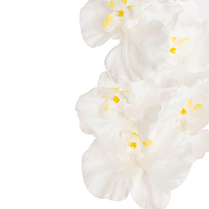 Orchid Spray x9 Flowers White (102cmH)