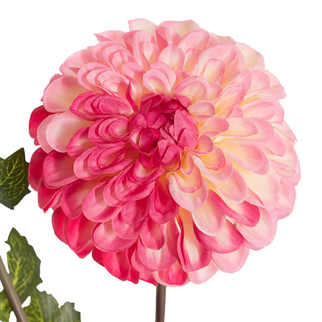 Andrea Dahlia Spray Ombre Pink (75cmH)