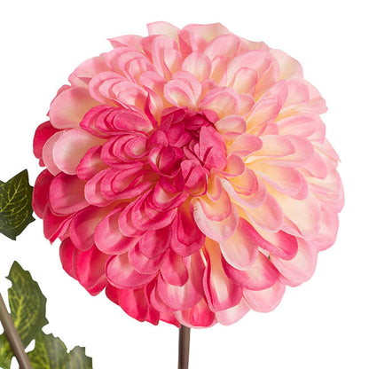Andrea Dahlia Spray Ombre Pink (75cmH)