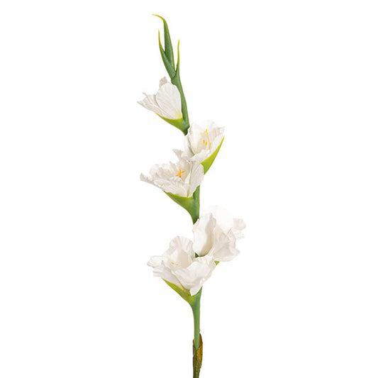 Gladiolus x 5 Flower Head Stem White (82cmH)