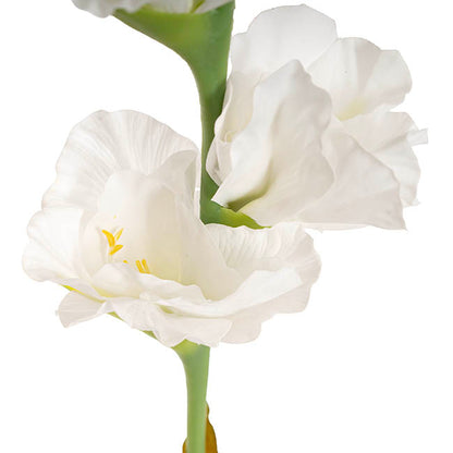 Gladiolus x 5 Flower Head Stem White (82cmH)