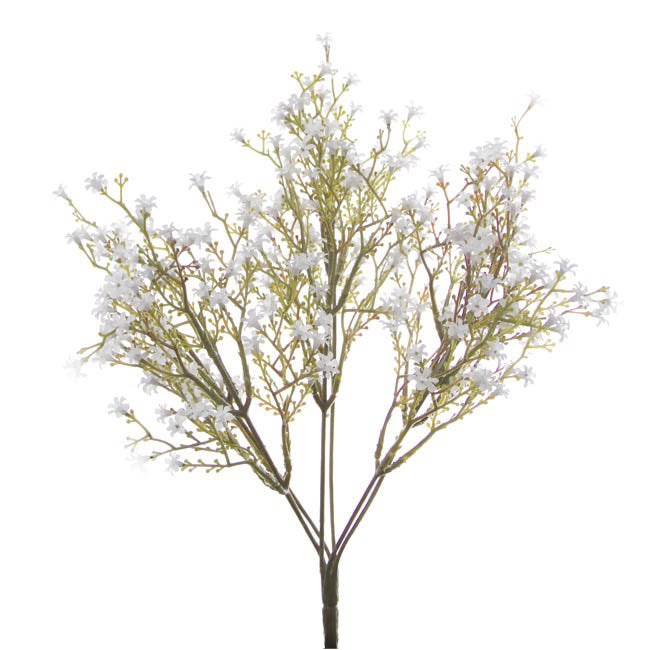 Gypsophila Baby's Breath Bunch White (30cmH)