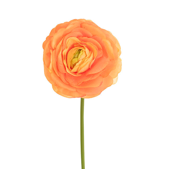 Hybrid Rose Short Stem Open Real Touch Apricot(9.5cmDx33cmH)