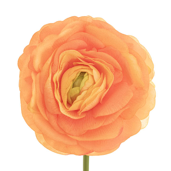 Hybrid Rose Short Stem Open Real Touch Apricot(9.5cmDx33cmH)