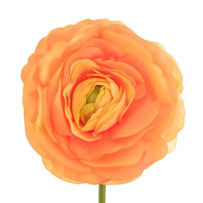 Hybrid Rose Short Stem Open Real Touch Apricot(9.5cmDx33cmH)
