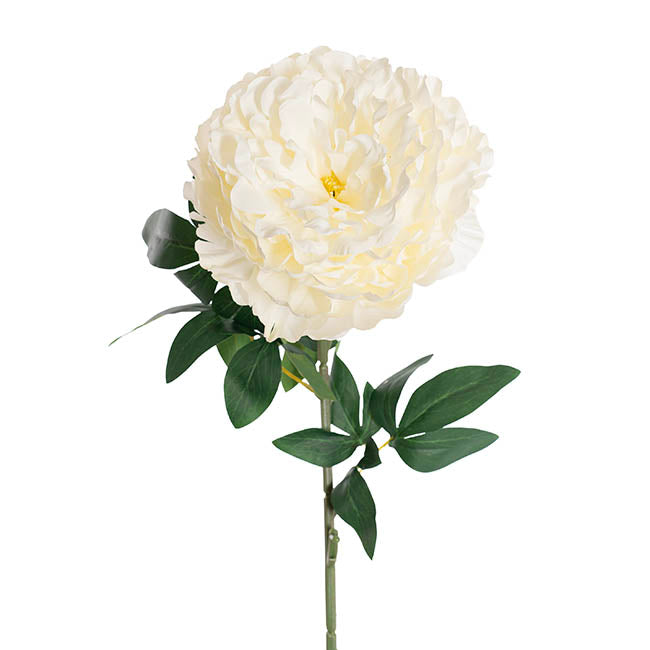 Queen Peony Stem White (18cmDx75cmH)
