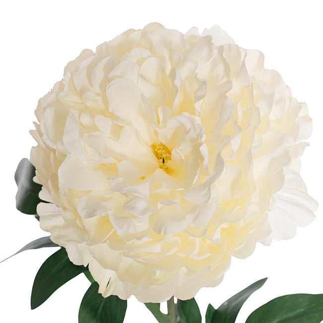 Queen Peony Stem White (18cmDx75cmH)