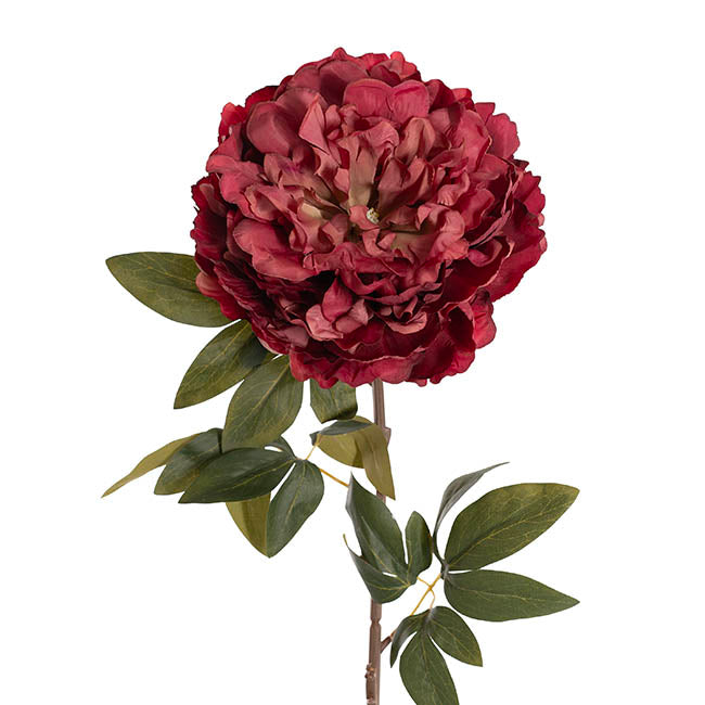 Queen Peony Stem Ombre Wine (18cmDx75cmH)