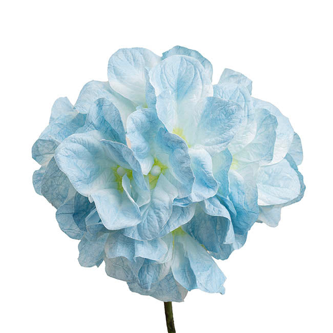 Giant Hydrangeas w Base Set 3 3D Blue (190cmH)