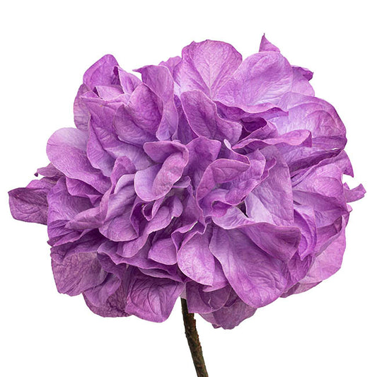 Giant Hydrangeas w Base Set 3 3D Purple (190cmH)