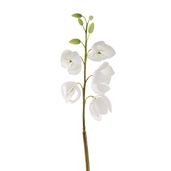 Summer Snowflake Flower Spray Real Touch White (57cmH)