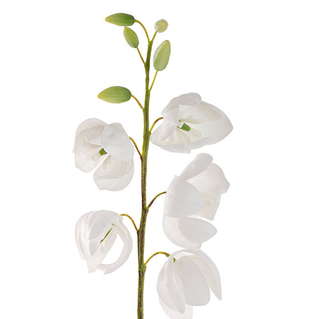 Summer Snowflake Flower Spray Real Touch White (57cmH)