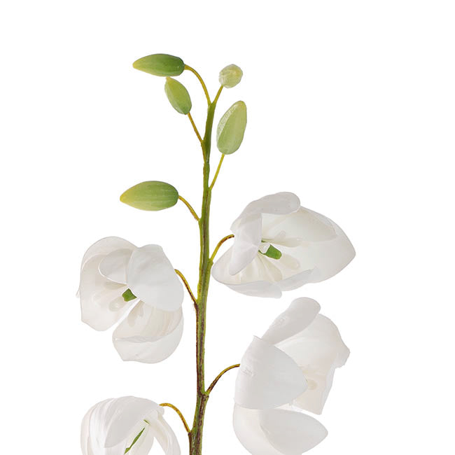 Summer Snowflake Flower Spray Real Touch White (57cmH)